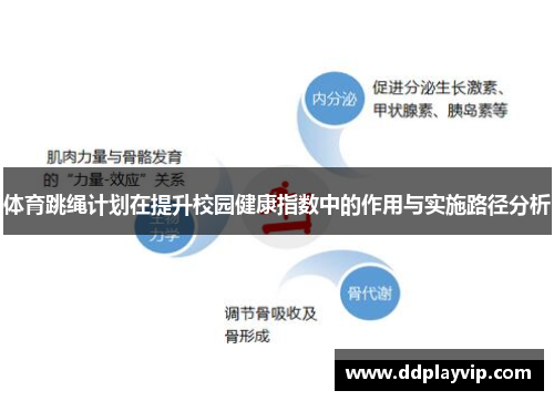 体育跳绳计划在提升校园健康指数中的作用与实施路径分析